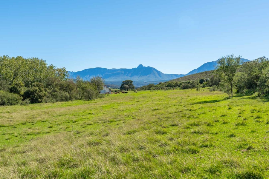 0 Bedroom Property for Sale in Riversdale Western Cape